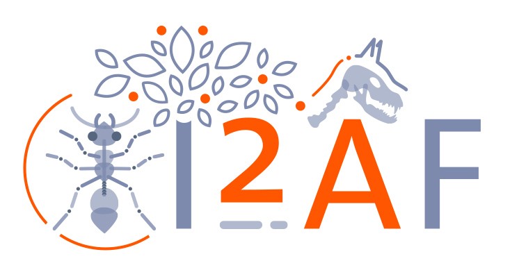 Logo I2AF